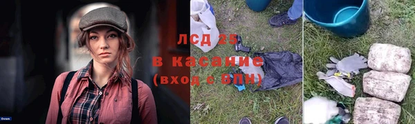 ГАЛЛЮЦИНОГЕННЫЕ ГРИБЫ Нижневартовск