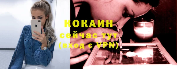 гидра Братск