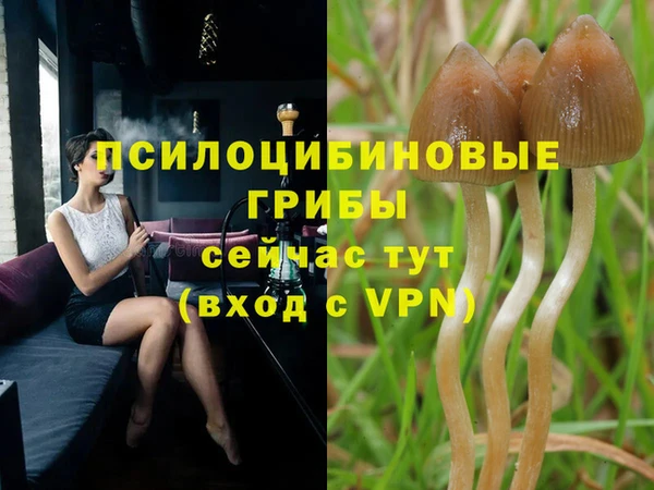 МДПВ Касимов
