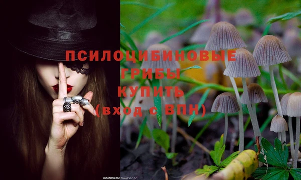 МДПВ Касимов