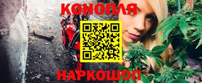 гашик Краснознаменск