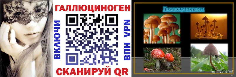 Псилоцибиновые грибы MAGIC MUSHROOMS Лосино-Петровский